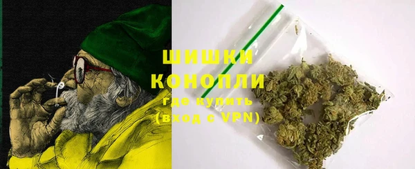 гашик Мегион