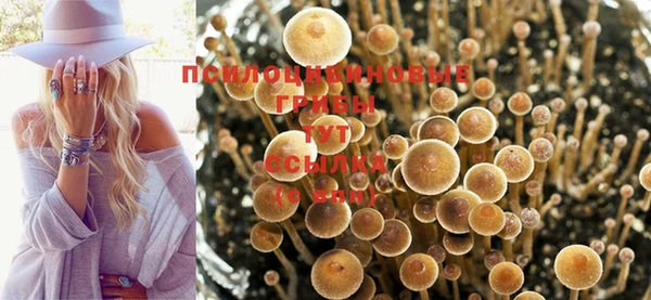 меф VHQ Медвежьегорск