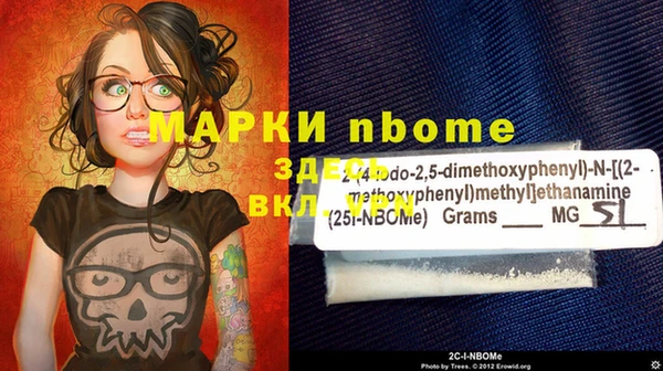 гашик Мегион