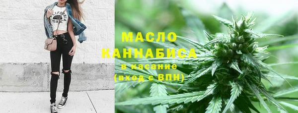 гашик Мегион
