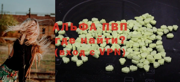 гашик Мегион