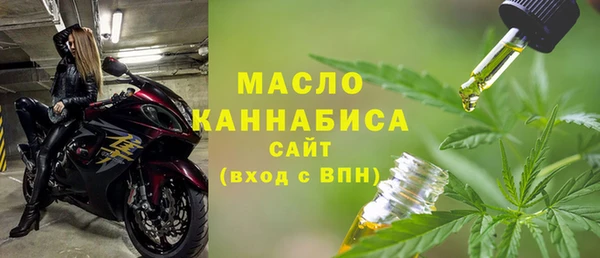 гашик Мегион