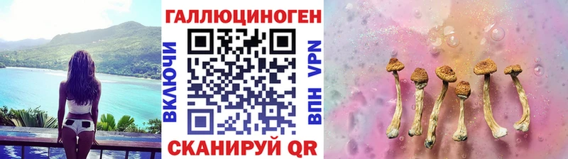 Псилоцибиновые грибы Psilocybine cubensis  где купить   блэк спрут зеркало  Шали 
